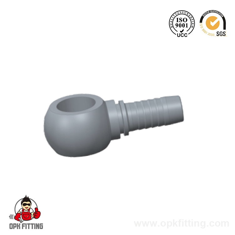 72011 BSP Banjo